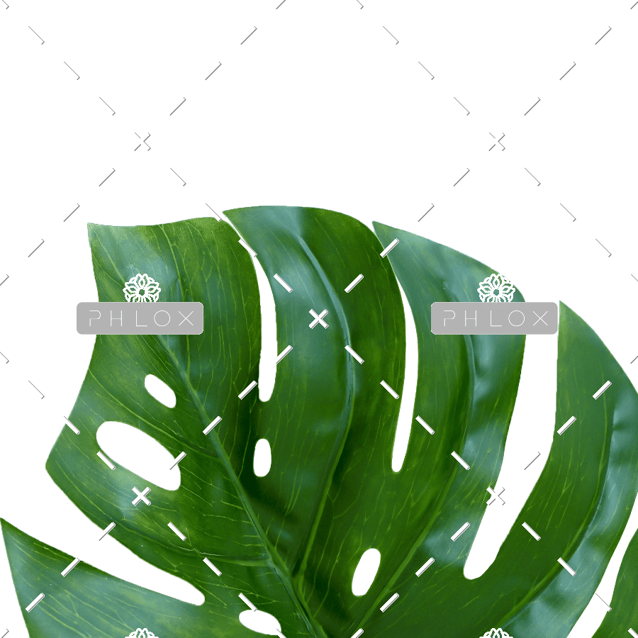 demo-attachment-531-plante